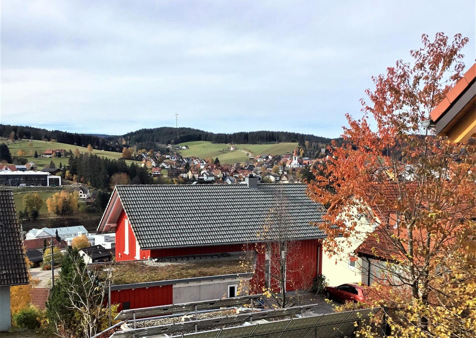 Appartement Alexander Feiss à Schonach im Schwarzwald Extérieur photo