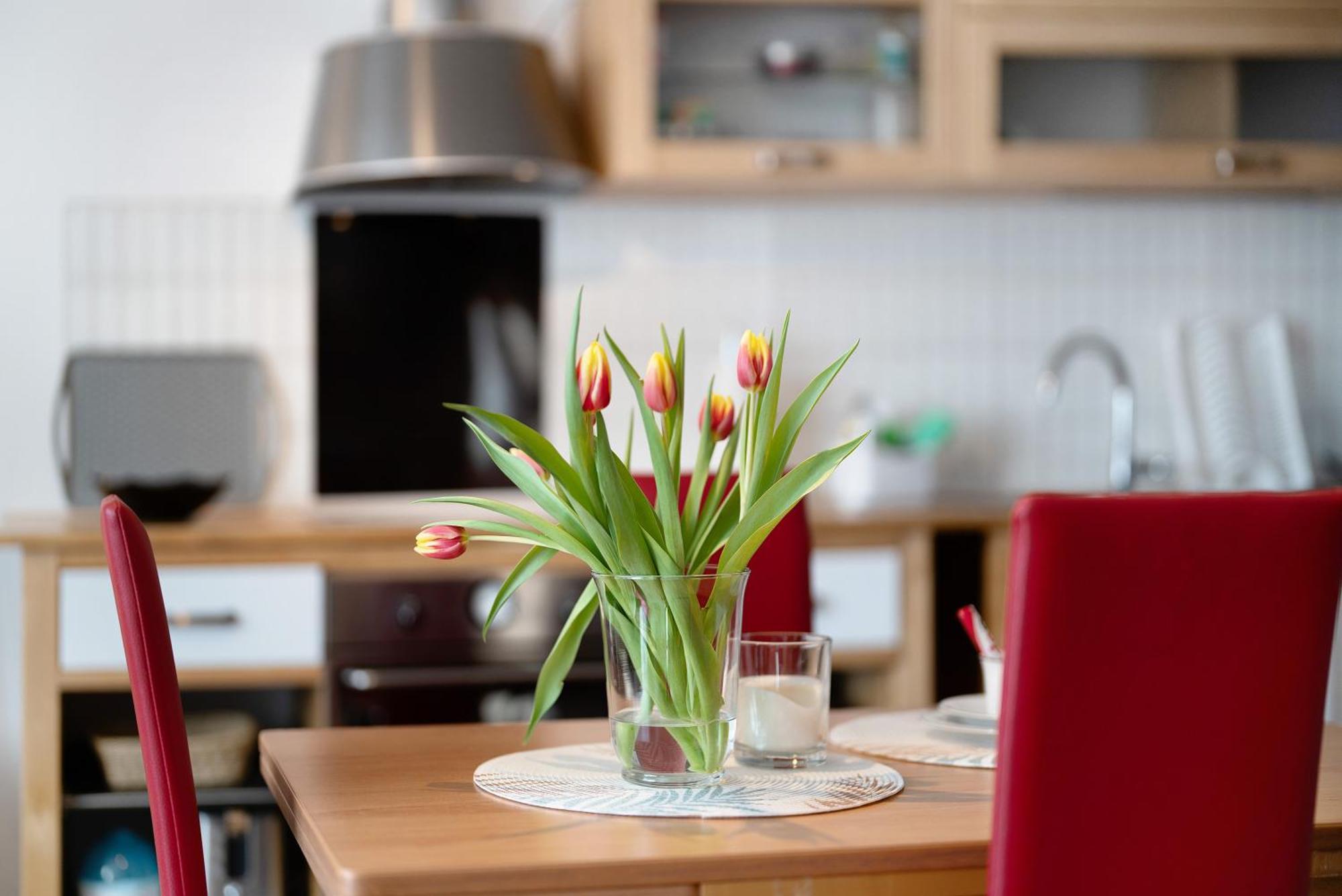 Appartement Alexander Feiss à Schonach im Schwarzwald Extérieur photo