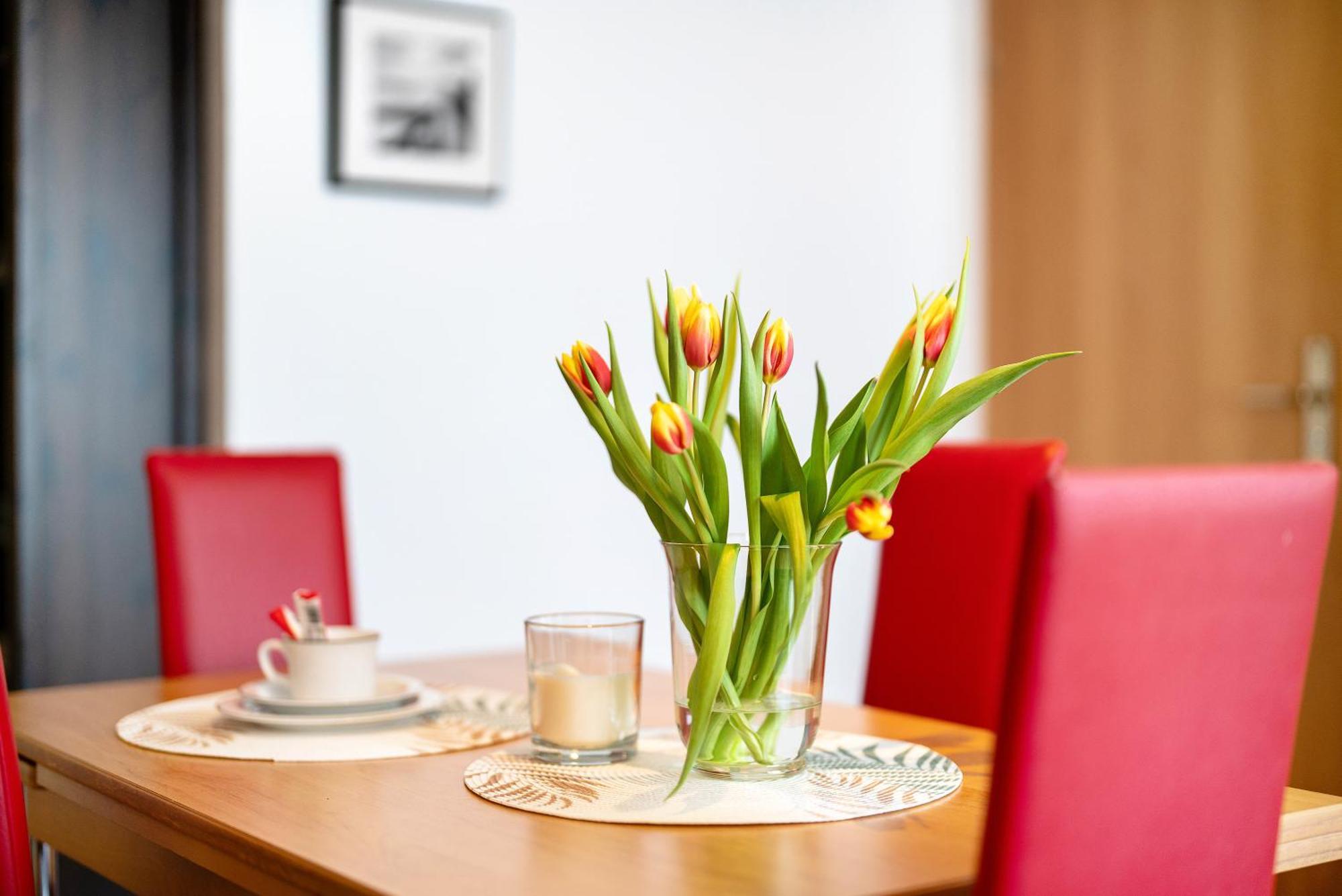 Appartement Alexander Feiss à Schonach im Schwarzwald Extérieur photo